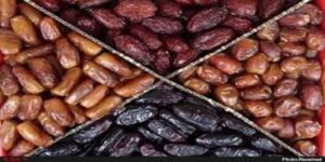 چگونه میتوان بهترین خرما ها را برای یک مهمانی تهیه کرد؟